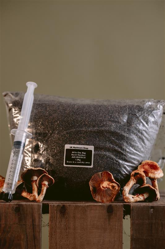 1.5kg All-in-One Mushroom Grow Kit 1.5kg All-in-One Mushroom Grow Kit - Grow Kits
